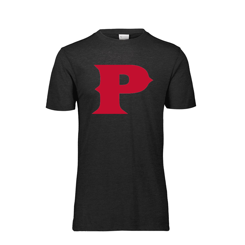 [FTSCUBBK-AS-LOGO1] Decker Adult Tri-Blend T-Shirt - Short Sleeve (Black, Adult S, Logo 1)